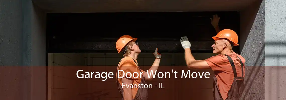 Garage Door Won't Move Evanston - IL